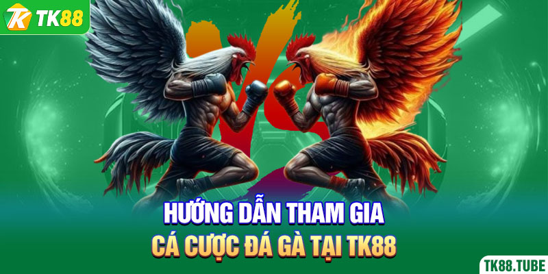 huong-dan-tham-gia-ca-cuoc-da-ga-tai-tk88