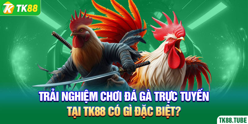 trai-nghiem-choi-da-ga-truc-tuyen-tai-tk88-co-gi-dac-biet-